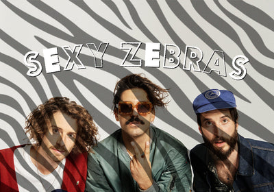 Calzini in edizione limitata: SEXY ZEBRAS🦓